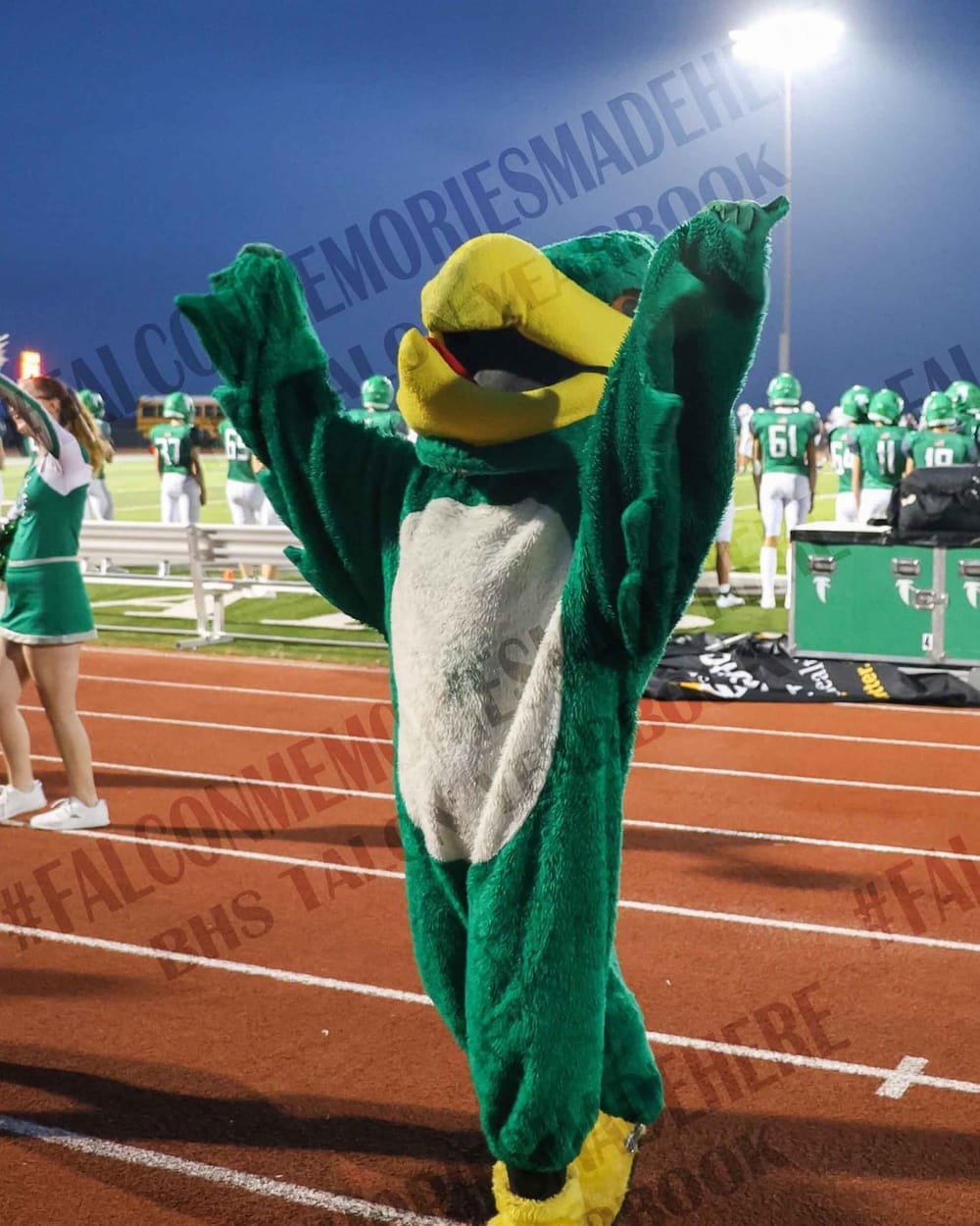 Kallie as the school Falcon mascot